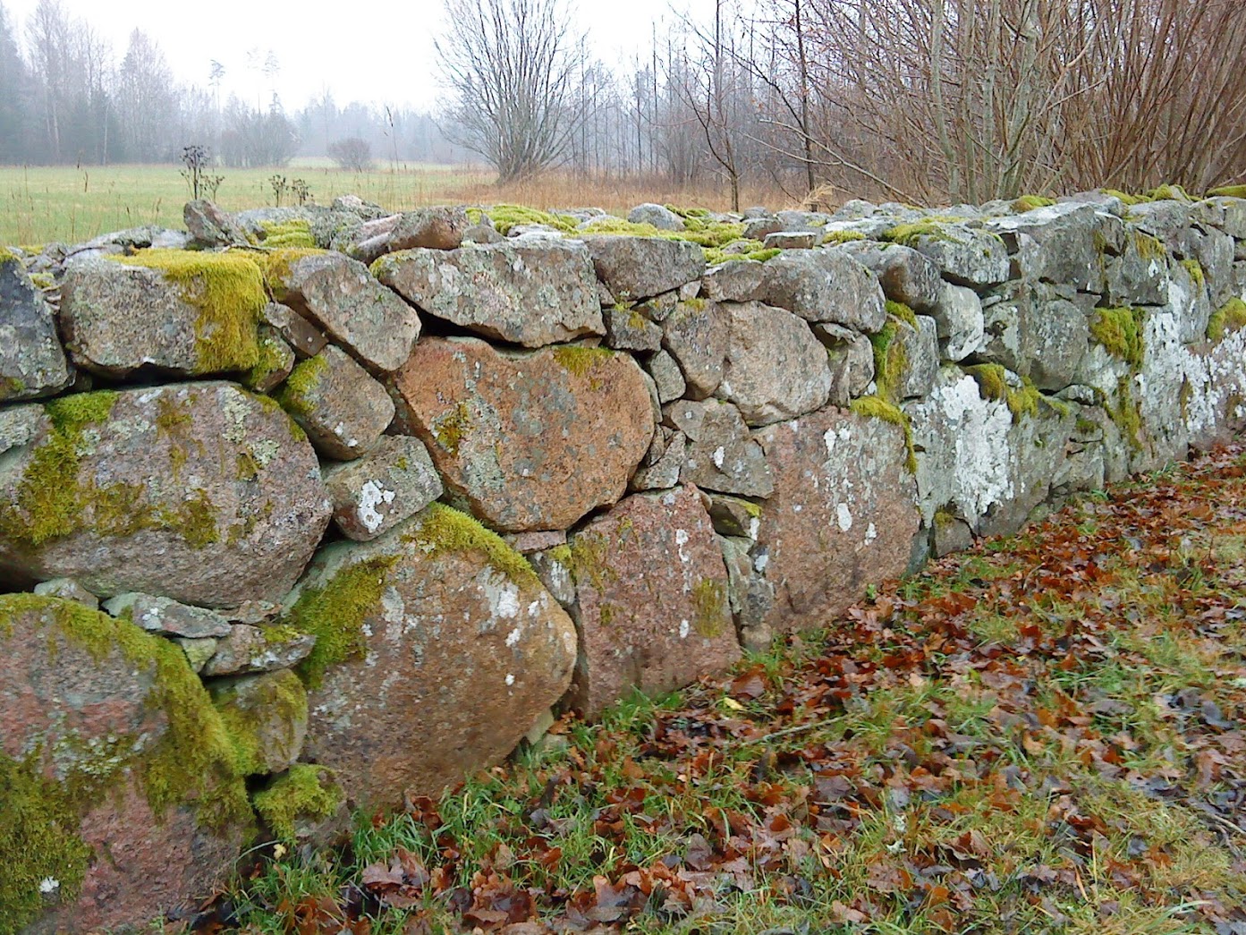 Typical Småland-ish (name province arround Lammhult) stone wall. Need to go deep to manage the ground frost in the winter.